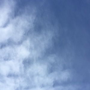 Meet your Posher, Sena